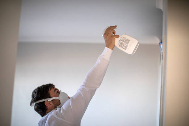 Best Mold Removal and Inspection  in Pupukea, HI