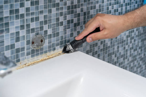 Best Residential Mold Removal  in Pupukea, HI