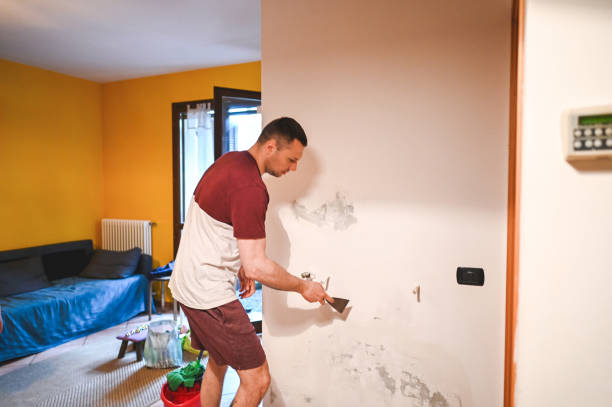 Best Attic Mold Removal  in Pupukea, HI